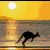 1749.gif